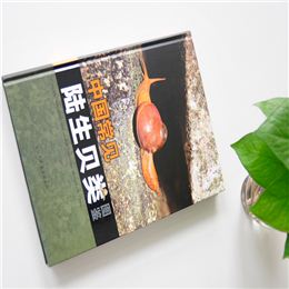 中國(guó)常見陸生貝類圖鑒  精裝書 精裝畫冊(cè)印刷