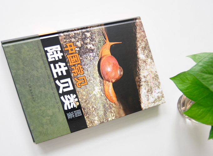 中國(guó)常見(jiàn)陸生貝類圖鑒  精裝書(shū) 精裝畫(huà)冊(cè)印刷